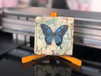 Impresora UV Multifuncional Freecolor 2025 con Nueva Tecnología 6090, Sistema de Escaneo de Posicionamiento Visual con Cámara y 3 Cabezales
