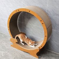 2025 nouveaux jouets pour animaux de compagnie roue chat escalade cadre chat tapis roulant cercle piste pour ménage interactif bande de roulement pour animaux de compagnie exercice course jouets