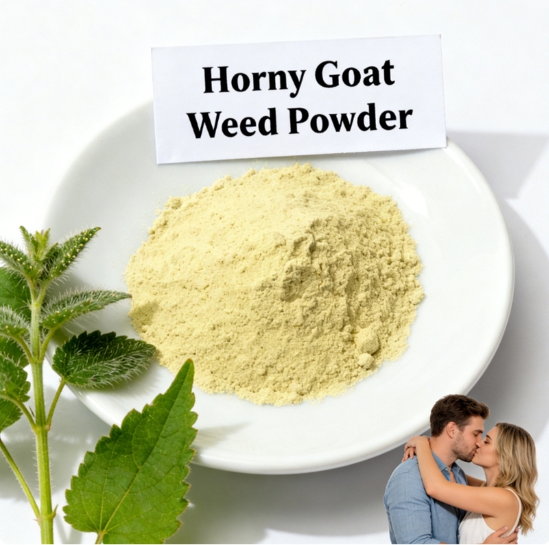 High Quality Songaria Cynomorium Herb Powder