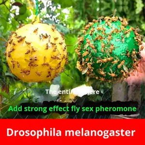 Trampa para Moscas de Cítricos Mr. Plant Protector, Ecológica, de Plástico, Adhesiva, con Líquido Atrapa Insectos - Product Image 2
