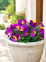 Buket Bunga Pansy Buatan 30cm, Bunga Viola Palsu Warna-warni untuk Keranjang Gantung, Dekorasi Rumah dan Taman