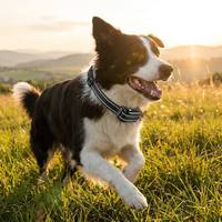 Neues Wasserdichtes ABS-Material Stoßfreies Intelligentes Fernbedienungs-Hundetrainingshalsband 20 Stunden Akkulaufzeit Multi-Modus Anti-Bell Haustier-Trainer