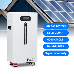 <b>48V</b> 300ah LiFePO4 Storage <b>Battery</b> 15kwh Home Use Backup Power Supply Li-ion Solar Power Station Lithium Ion Phosphate <b>Battery</b> - Product Image 2