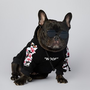 Moda a juego perro y sudaderas con capucha humana <span class=keywords><strong>bulldog</strong></span> francés Sudadera con capucha fábrica al por mayor suministro de ropa para mascotas gordas - Product Image 5