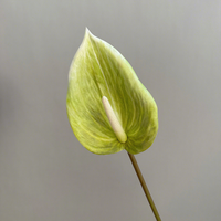 Plantes d'Anthurium en gros pour mariage, fleurs en latex Anthurium au toucher réel
