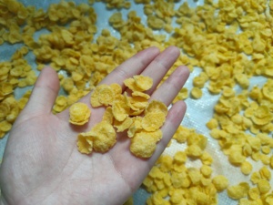 Máquina automática de fabricación de copos de maíz Chocos de maíz crujiente Zhuoheng, línea de producción de procesamiento de <span class=keywords><strong>cereales</strong></span> para desayuno - Product Image 3