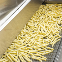 Machine industrielle à frites Ligne de production de pommes de terre frites Machine de fabrication de chips de pommes de terre Ligne de production Petite
