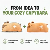 Coussin en peluche chat personnalisé, directement de l'usine, en coton ultra doux, unisexe, pour fêtes, OEM/ODM, marque privée, vente en gros