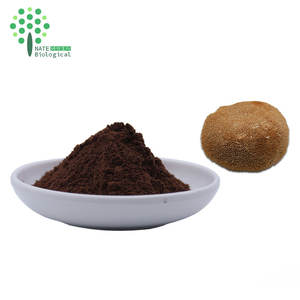 Экстракт гриба Ежовик гребенчатый (Львиная грива) в порошке, эринацины, герицинон, бета-глюкан, двойной экстракт, сертифицирован HPLC, фасовка в барабанах - Product Image 6