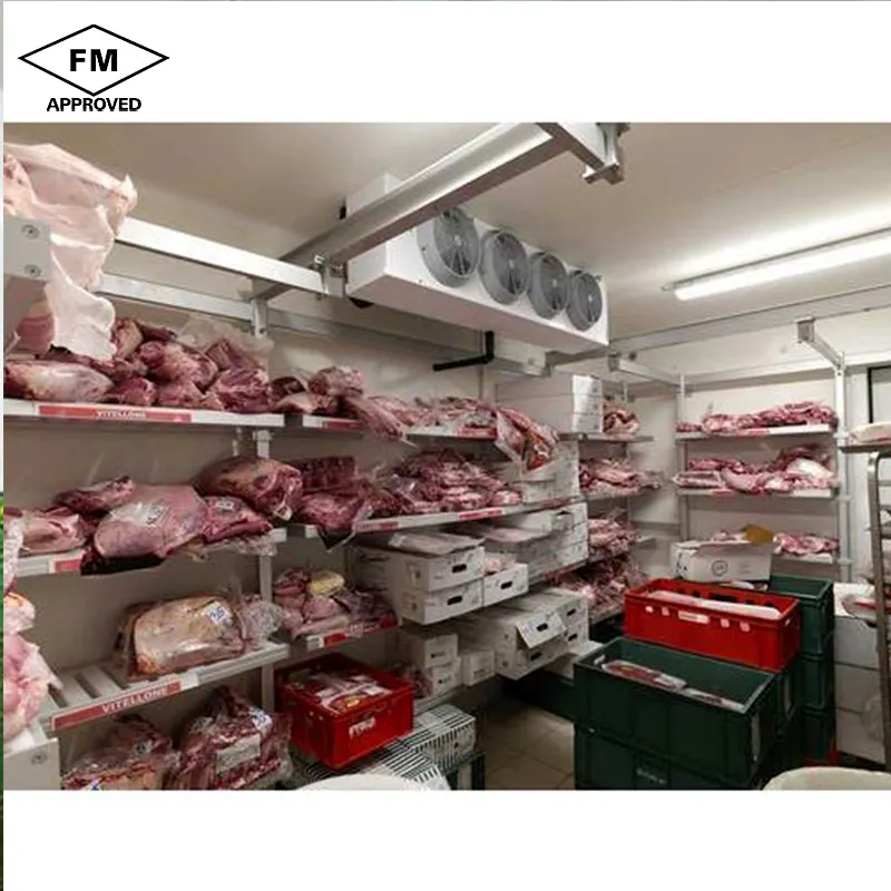 FM certification manufacturer refrigeration industrial container frozen cold room storage for meat or fish