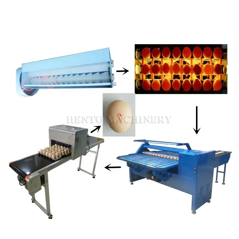 Hot Sale Egg Grading Machine for Sale / Egg Cleaning Brush Roller / Production Line for Washing Grading Printing Egg