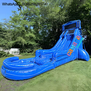 Glissière d'eau tropicale de videur sautant de palmier d'arrière-cour commerciale - Product Image 5