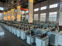 Transformateur industriel immergé dans l'huile S11 Dyn11/Yyn0 10kV Triphasé Sortie 400V 50Hz Refroidissement ONAN Intérieur/Extérieur