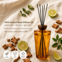 Diffuseur de parfum en verre 1L sans flamme, grande capacité, flacon Erlenmeyer, parfum longue durée pour chambre et salon