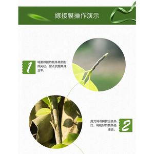 Outils de jardin sécateurs pour arbres fruitiers, branche de gravure, jardinage, ceinture de liaison, ruban de cravate en pvc, <span class=keywords><strong>film</strong></span> de greffage - Product Image 2