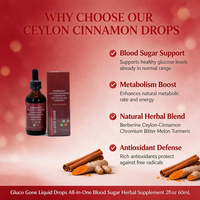 Extrait Liquide Oral Herbal de Gouttes de Cannelle de Ceylan Marque Privée OEM – Soutien Sain du Glycémique et du Métabolisme pour Adultes