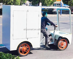 Popsicle vélo crème glacée Cargo vélo alimenté par batterie transporteur arrière E vélo <span class=keywords><strong>caisse</strong></span> 850w Quad vélo Cargo électrique - Product Image 3