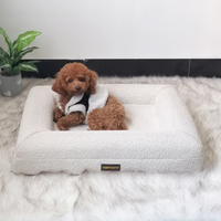 Cama Ortopédica para Perros XL/XXL con Cubierta Impermeable, Sofá para Mascotas con Espuma de Soporte, Cojín Lavable Extraíble Antideslizante, Diseño Sólido