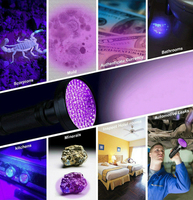 Lampe torche UV noire clignotante 3W 395nm, détecteur d'urine d'animaux et de scorpions, lampe torche UV à 100 LED