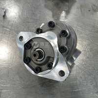 Pompe à engrenages 25500 25507-LSB 25507-LAM 78453-LBG 25507LSB 25507LAM 78453LBG 70453 Pompe hydraulique