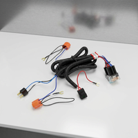Kabel Ekstensi Relay Kit Lampu Kabut & Lampu Depan Mobil untuk Penggunaan Sepeda Motor, Elektronik & Peralatan Rumah Tangga, Berperingkat IP65