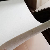 Tapis en mousse standard pour presse à chaud manuelle 80x100, pièce de rechange