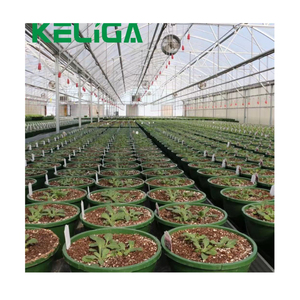 Nông nghiệp nhà kính Gà nhà kính màu đen và trắng phim nhựa gia cầm trang trại chăn nuôi gà nhà kính - Product Image 4