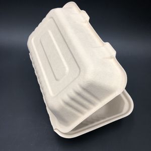 可生物降解的蛤壳执行箱堆肥环保去容器甘蔗渣箱快餐圆 - Product Image 4