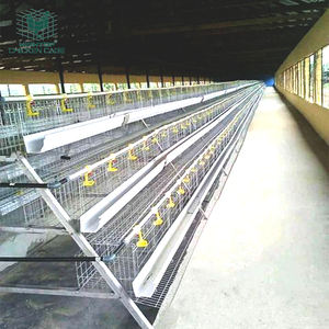 Batería tipo A para criar huevos, poner <span class=keywords><strong>pollos</strong></span>, gallinas, jaulas, nuevo, duradero y fácil <span class=keywords><strong>de</strong></span> instalar, certificado ISO9001 - Product Image 5