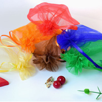 Sac cadeau en organza avec cordon de serrage, pochettes transparentes en maille pour bijoux, fleurs séchées et emballage de bonbons pour fêtes