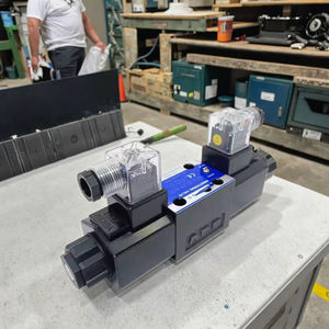 12v <span class=keywords><strong>24v</strong></span> dg סדרה הידראולי סרוו סולנואיד שסתום מודלים DSG-01 DSG-03 DSG-02-2B2-AC220V DSG-03-3C60-DC24V-N1 - Product Image 1