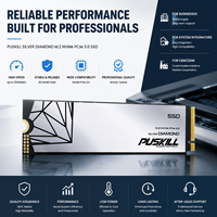 قرص صلب داخلي PUSKILL NVMe M.2 2280 SSD PCIe 3.0 X4 بسعات 128 جيجابايت و256 جيجابايت و512 جيجابايت و1 تيرابايت و2 تيرابايت بتقنية 3D TLC NAND