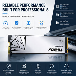 قرص صلب داخلي PUSKILL NVMe M.<span class=keywords><strong>2</strong></span> 2280 SSD PCIe 3.0 X4 بسعات 128 جيجابايت و256 جيجابايت و512 جيجابايت و1 تيرابايت و<span class=keywords><strong>2</strong></span> تيرابايت بتقنية 3D TLC NAND - Product Image 1