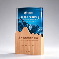 Trophée en bois et cristal personnalisable avec gravure, plaque de reconnaissance professionnelle pour récompense des employés, célébration d'entreprise et cadeau