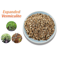Substrat hydroponique en vermiculite expansée pour la culture verticale de fruits et légumes, avec FDS disponible, approvisionnement stable