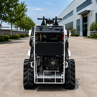Minipala Compatta con Capacità di 300kg, Accessori Personalizzabili OEM, Motore Diesel Euro 5 EPA, Garanzia di 2 Anni
