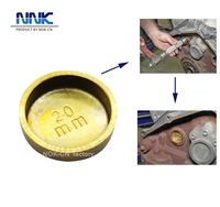 NNK Pompe, Bouchon d'expansion en laiton et acier, Bouchon de protection contre le gel, Bouchon de moteur