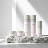 Kit de Soins Visage OEM Vitamine C Hydratant Éclaircissant Contrôle du Sébum Anti-Acné Logo Personnalisé Extrait Animal Ingrédients Réducteurs de Pores