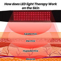 Ceinture de luminothérapie rouge UL CE ROHS avec vibration à 3 niveaux, enveloppement infrarouge NIR 660nm 850nm pour le soulagement des douleurs dorsales, OEM