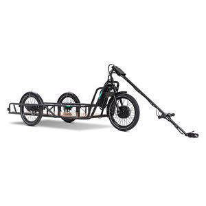 <span class=keywords><strong>Remorque</strong></span> électrique de cargaison de tricycle de roues de l'acier au carbone 3 pour le transport de bicyclette - Product Image 2