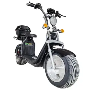 批发最好的ec Coc CE中国成人1000W 1500W 2000W 60V 18in折叠平衡胖轮胎电动自行车自行车