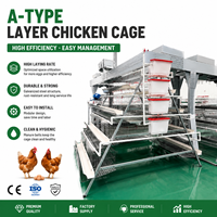 Cage à batterie automatique en acier galvanisé pour élevage de poulets, équipement avicole de haute qualité