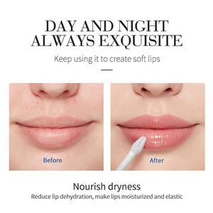 Cosméticos logotipo personalizado Venta al por mayor Bálsamo <span class=keywords><strong>labial</strong></span> <span class=keywords><strong>Labial</strong></span> Ministerio render hidratante maquillaje de labios brillo de labios - Product Image 4