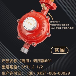 Válvula Reductora de Presión Ruizhang Yimin 601 para Gas Licuado, 3/8 Pulgadas, Recta, Baja Presión, Aleación de Zinc - Product Image 3