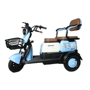 600W Fashionable Folding Electric Tricycle Three-Wheel Passenger Vehicle for Elderly People to Take Walks