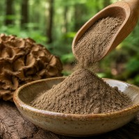 Poudre d'extrait de champignon Maitake naturel 30% polysaccharides
