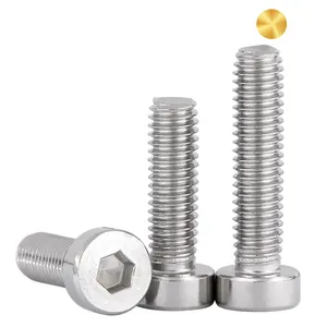 Manufacturers wholesale high quality stainless steel 304 316 316L ultra low head socket cap screwsM2 M3 M4 M5 M6