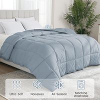 Couette en plumes d'oie de luxe pour hôtel, grise claire, taille Queen, douce et moelleuse, pour toutes les saisons