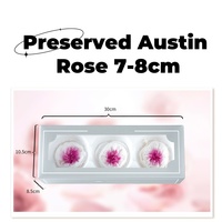 Lovebay Fleur Décorative Préservée Austin Rose Tête Réel Éternel Austins Naturel Éternité Préservé Têtes De Fleurs pour La Décoration Intérieure