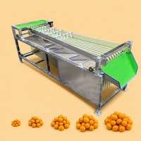 Machine de tri automatique de fruits et légumes, machine de tri d'oignons, mangoustans, myrtilles, avocats, dattes, machine de tri de tomates